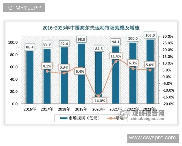 武汉羽毛球队心理素质深度对比分析及其对比赛表现的影响探讨