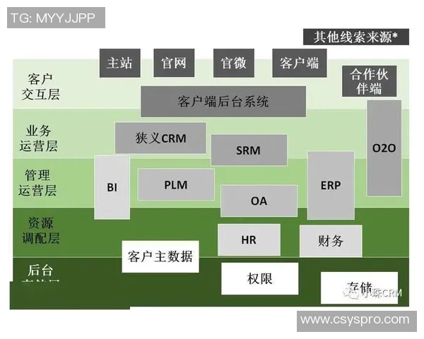 重庆足球队的运营模式与发展策略深度解析